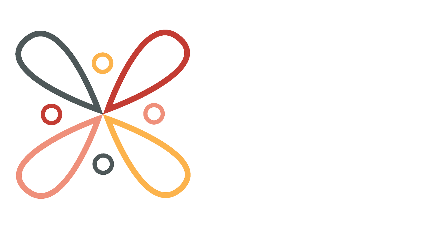 Birth Center Equity