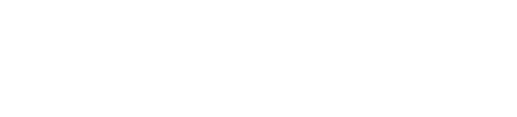 WSnewlogoWhite 1024x232